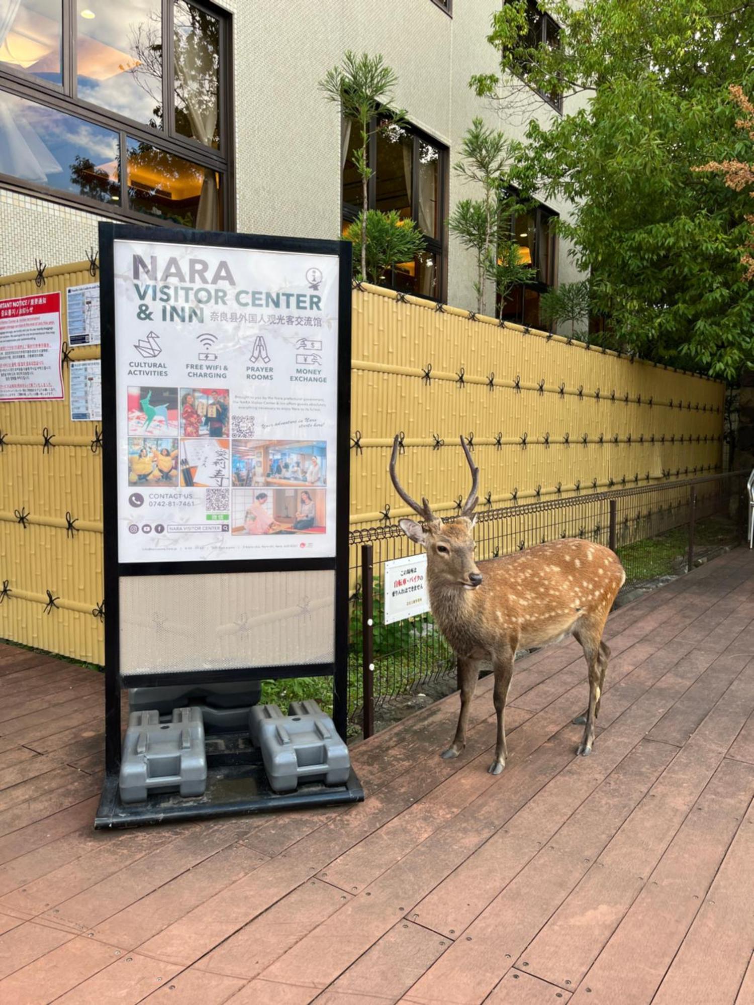 Nara Visitor Center And Inn Eksteriør bilde
